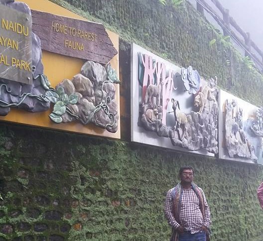 দার্জিলিং ভ্রমণ: মেঘ-পাহাড় আর চায়ের সুবাসে এক স্বপ্নময় যাত্রা