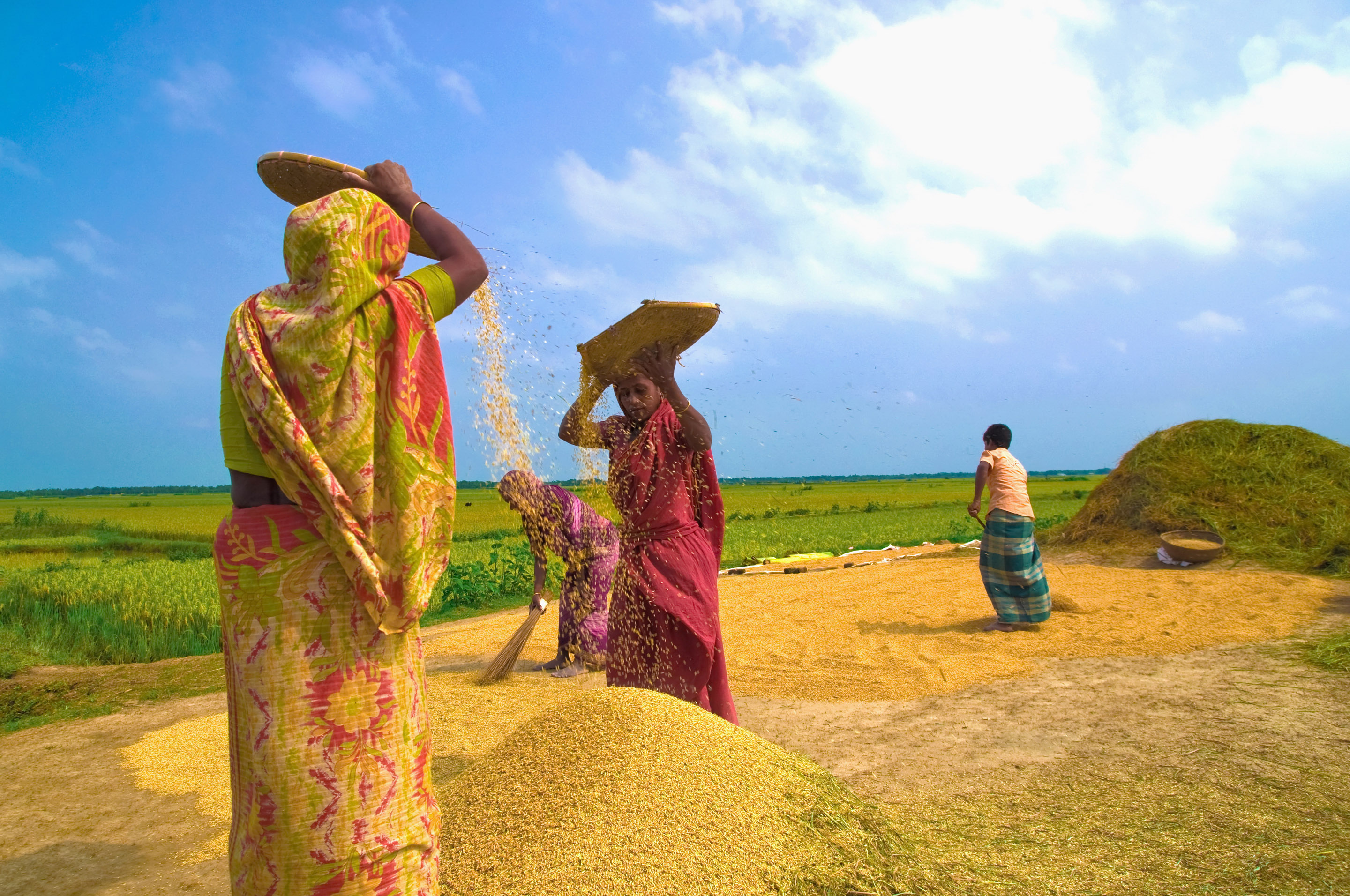 নবান্ন; বাংলার হারানো ঐতিহ্য